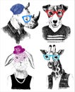 Dressed up animals set in hipster style