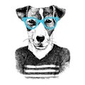 Dressed up dog in hipter style