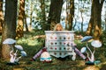 Dresser with doll Alice inside near Humpty Dumpty and mushrooms art object on outdoor art exhibition