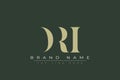DRI abstract letter logo design Royalty Free Stock Photo