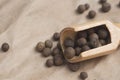 Dried allspice in measuring spoon