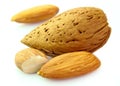 Dried almond Royalty Free Stock Photo