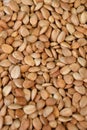 Dried almond kernel