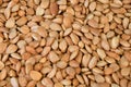 Dried almond kernel