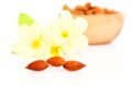 Dried almonds with flowers Royalty Free Stock Photo