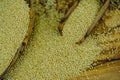 Dried amaranth seed