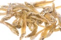 Dried Anchovies Macro Isolated