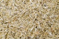Dried Anchovy fish Royalty Free Stock Photo