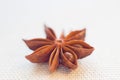 The dried anise flower
