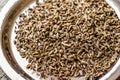 Dried Anise Seed or Aniseed on silver plate. anason Royalty Free Stock Photo