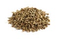 Dried anise seed Royalty Free Stock Photo