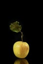 Dried apple on background.