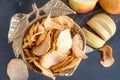 Dried apple chips in a bowl. Dehydrated apples. Homemade dried organic apple slices. Top view, flat lay Royalty Free Stock Photo