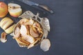 Dried apple chips in a bowl. Dehydrated apples. Homemade dried organic apple slices. Top view, flat lay, close-up Royalty Free Stock Photo