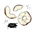 Dried apple chips vector drawing. Hand drawn dehydrated fruit ring and slices
