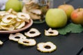 Homemade organic dried apple chips in glass bottle with fresh apple Royalty Free Stock Photo