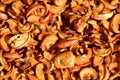 Dried apples Royalty Free Stock Photo