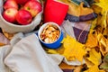 Dried apples in a circle on a background of ripe apples and autumn yellow leaves. Picnic in nature