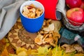 Dried apples in a circle on a background of ripe apples and autumn yellow leaves. Picnic in nature