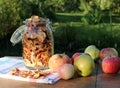 Dried apples in glass jar, fresh green and red apples Royalty Free Stock Photo