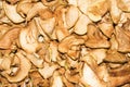 Dried apples.The texture of the apples. Royalty Free Stock Photo