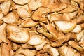 Dried apples.The texture of the apples. Royalty Free Stock Photo