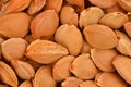 Dried apricot kernel Royalty Free Stock Photo