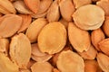 Dried apricot kernel Royalty Free Stock Photo