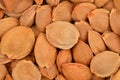 Dried apricot kernel Royalty Free Stock Photo
