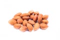 Dried apricot kernel fruit