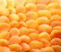 Dried apricots Royalty Free Stock Photo