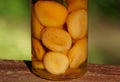 Dried apricots soaked inside of a bottle of moonshine Royalty Free Stock Photo
