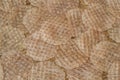 Dried Arius thalassinus sheets Royalty Free Stock Photo