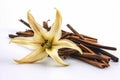 Dried aromatic vanilla pods. Generate ai