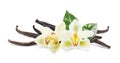 Dried aromatic vanilla sticks, flowers and green leaves on white background Royalty Free Stock Photo