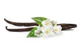 Dried aromatic vanilla sticks, flowers and green leaves on white background Royalty Free Stock Photo