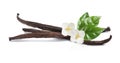 Dried aromatic vanilla sticks, beautiful flowers and green leaves on white background. Banner design Royalty Free Stock Photo