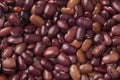 Dried Ayuote Morado beans Royalty Free Stock Photo