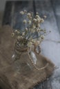 Dried baby breath flowers as the main object on the table Royalty Free Stock Photo