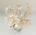 Dried Baby\'s Breath flower