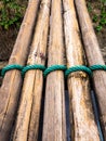 Dried bamboo tie with green nylon rope Royalty Free Stock Photo