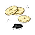Dried banana chips vector drawing. Hand drawn dehydrated sliced fruit illustration. Royalty Free Stock Photo