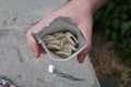 Dried banana Sliced banana. Banana in the package. A man holds a package of bananas Royalty Free Stock Photo