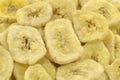 Dried banana slices Royalty Free Stock Photo