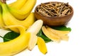 Dried bananas in the bowl and fresh bananas isolated on white background. Sticks of dehydrated banana pulp Royalty Free Stock Photo