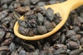 Dried barberry berries in a wooden spoon