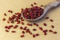 Dried barberry in ceramic spoon