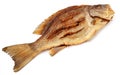 Dried Barramundi or Koral fish of Southeast Asia