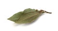 Dried bay leaf Royalty Free Stock Photo