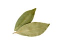 Dried bay leaf